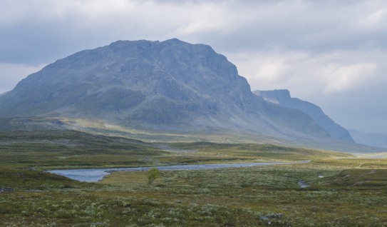 Kungsleden